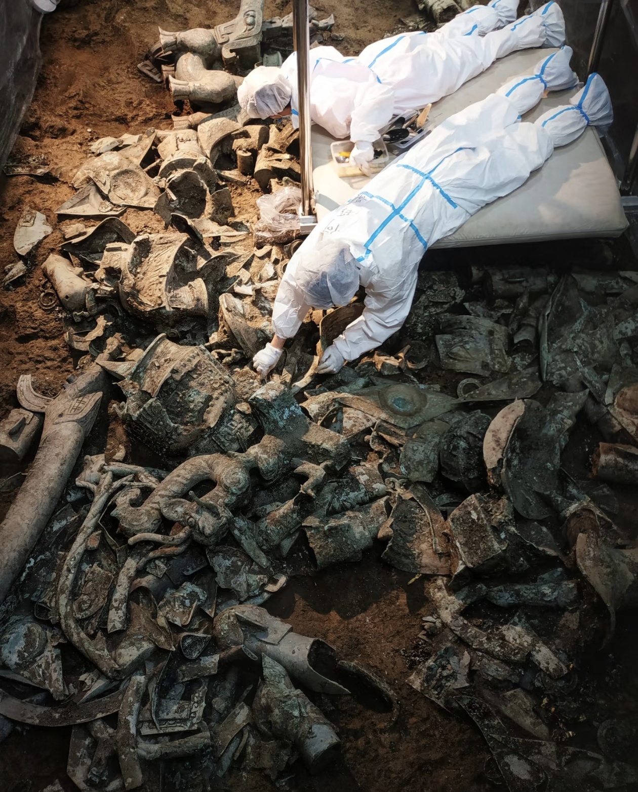 从6月23日开始,全国各地高考成绩就陆续能查啦