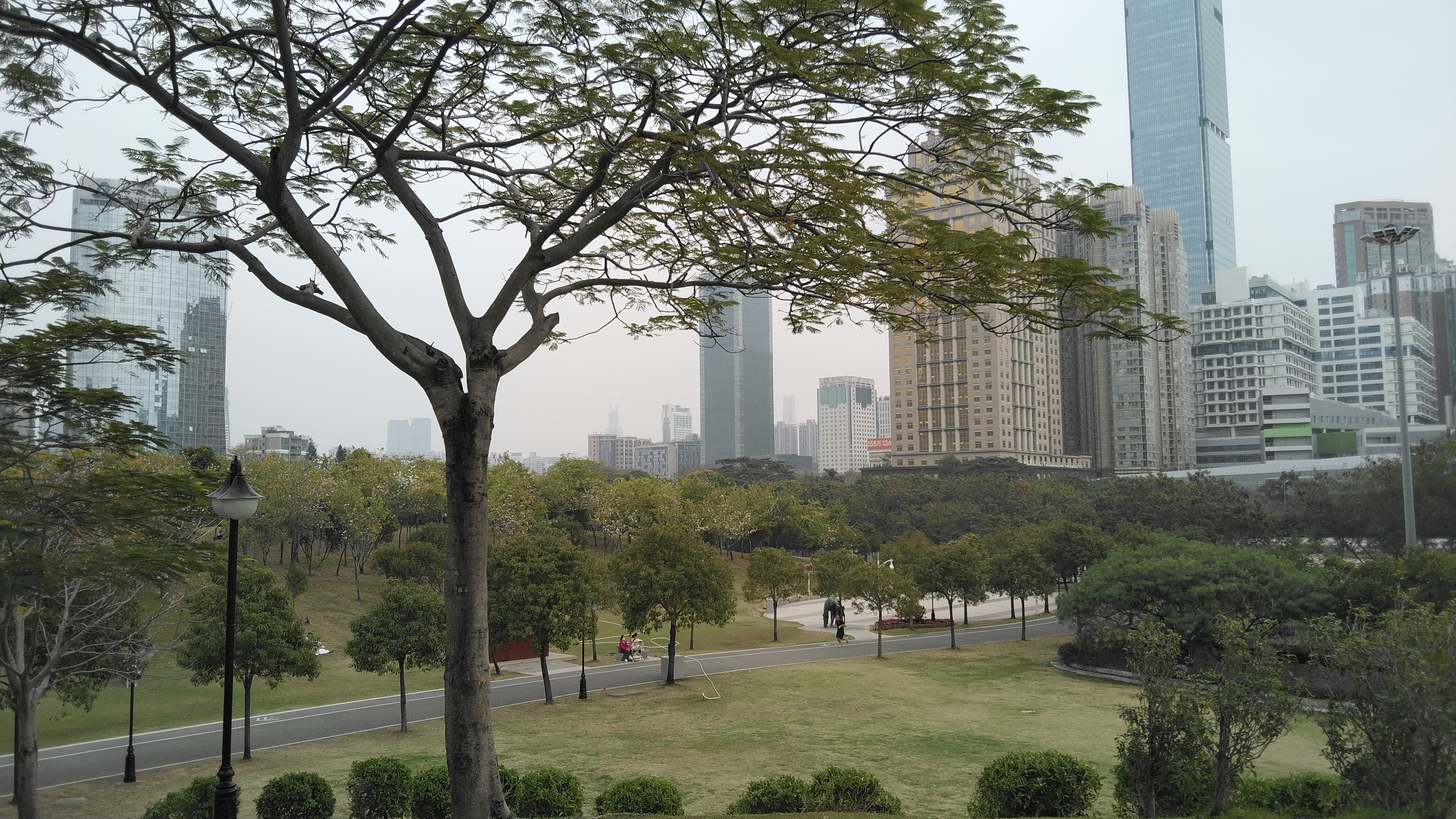 这里没有罗湖的拥挤纷杂,没有南山的新颖时尚,但高