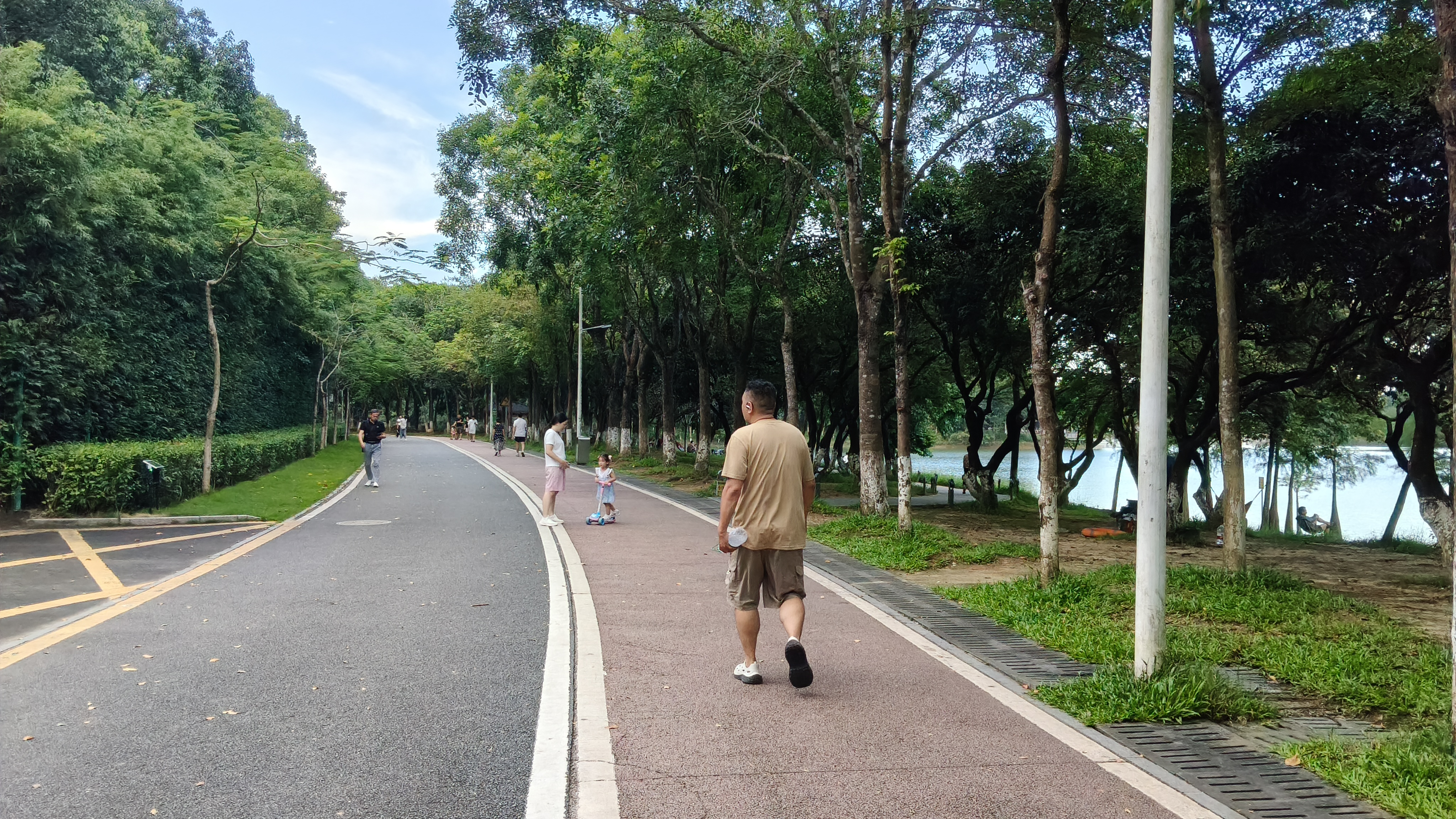 在这个炎炎夏日,当你走进东莞凤岗南门山森林公园,内心已有种清凉的