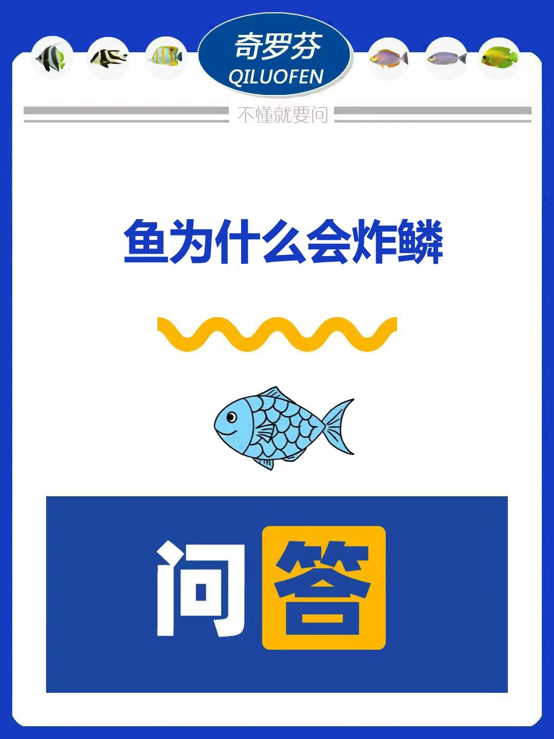 立鳞病的"温度警报"1℃温差足以致命龙鱼鳞片突然外翘的