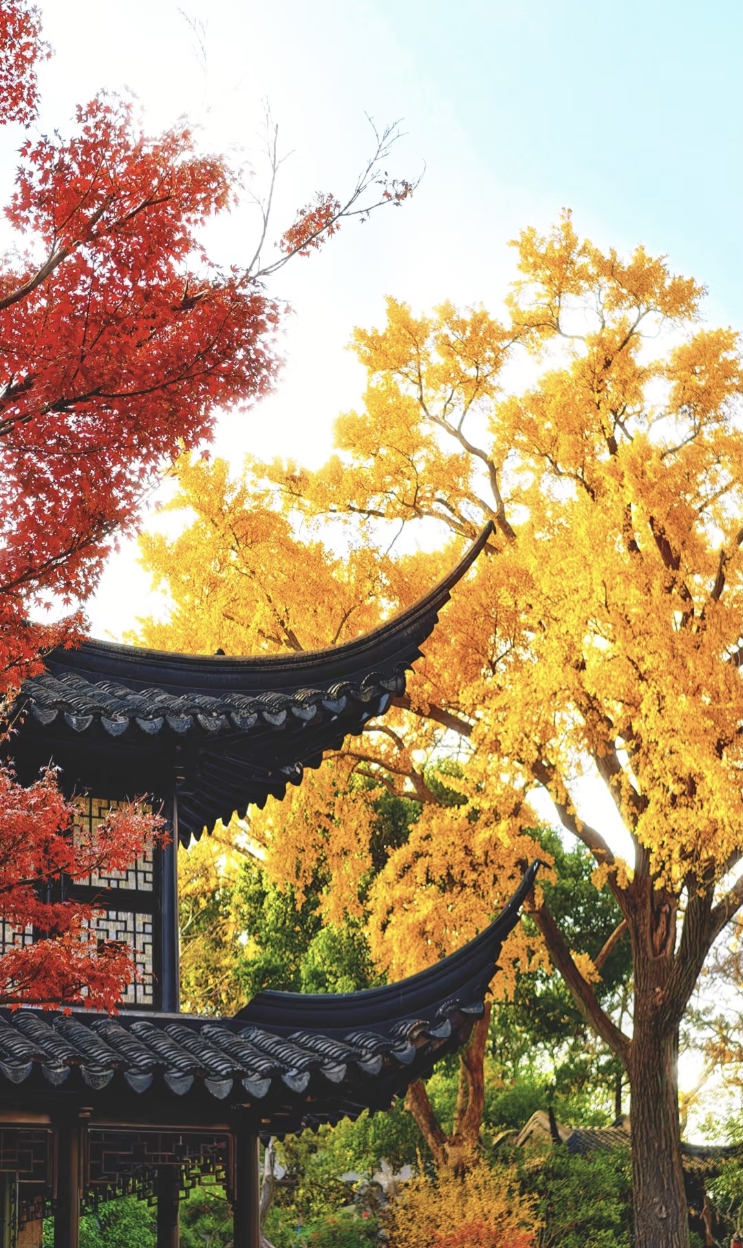 作为中国四大园林之一它从明代的东园辗转成清代的寒碧山庄岁月