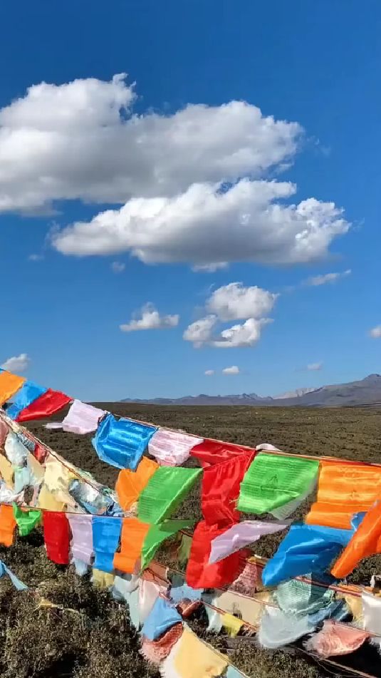 巴桑为什么不唱天路了