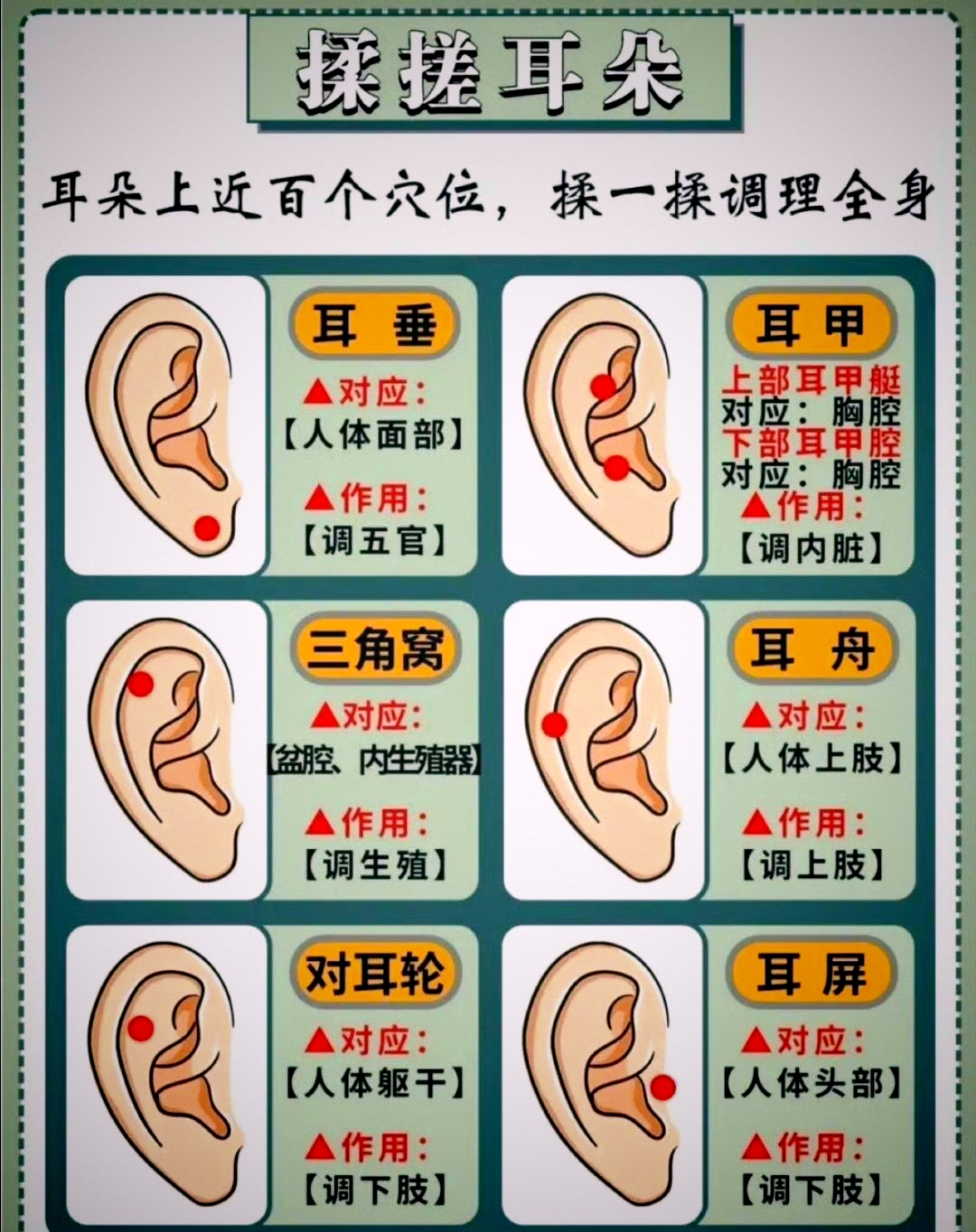 耳朵耳部穴位图&耳部养生操