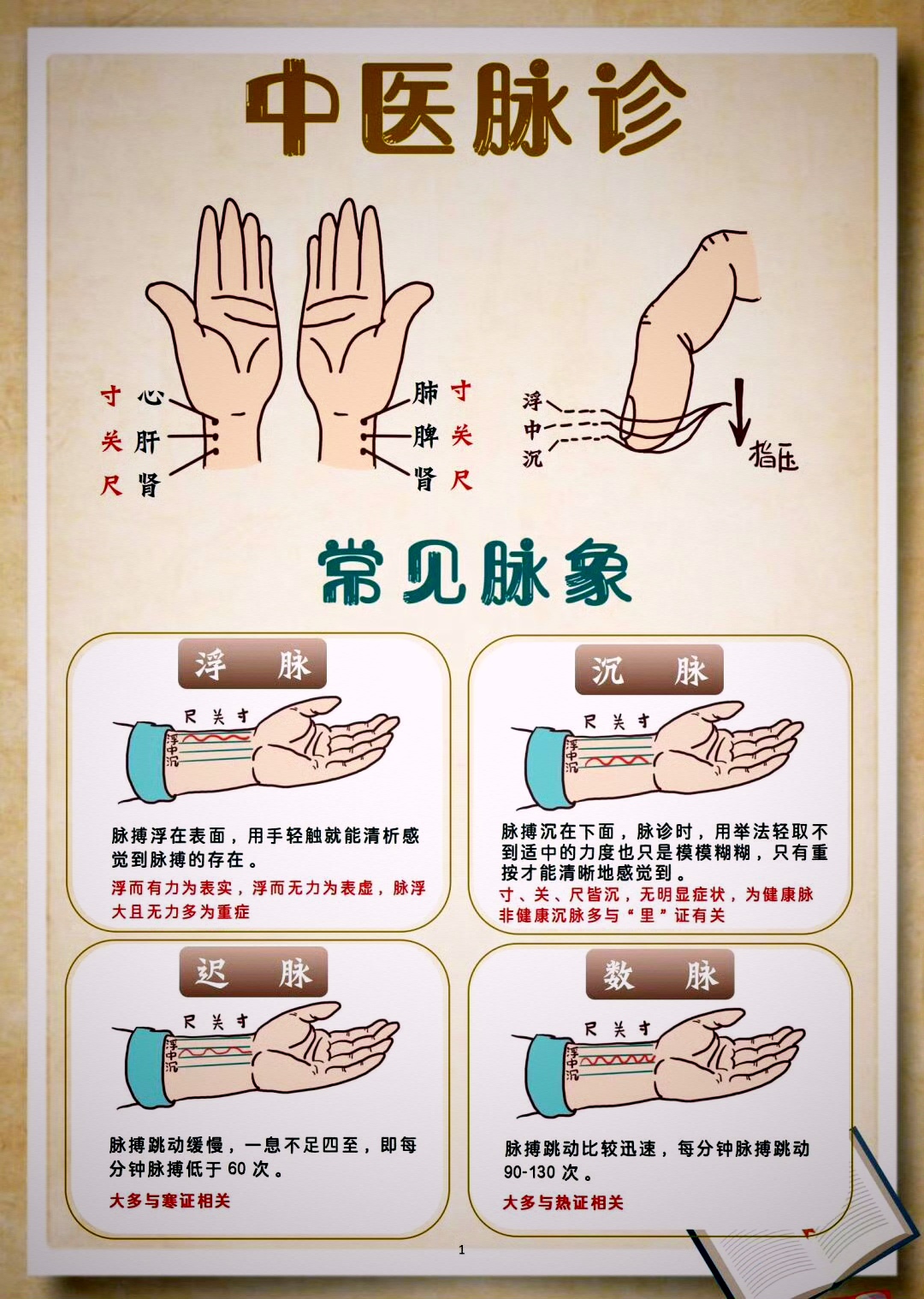 中医脉诊,常见脉象,超值收藏