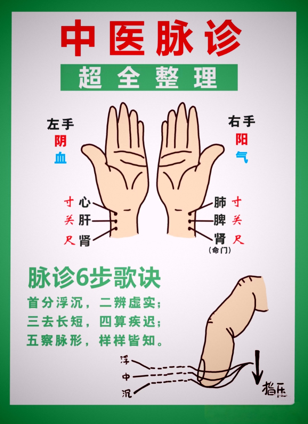 超详细的中医脉诊图! 28脉象,赶紧学起来