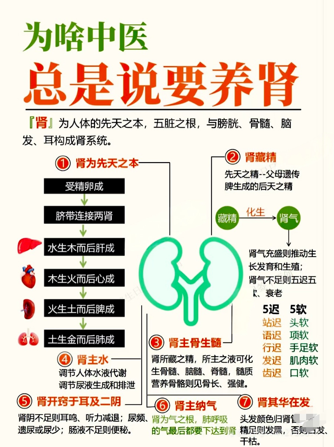 肾何以为先天之本?
