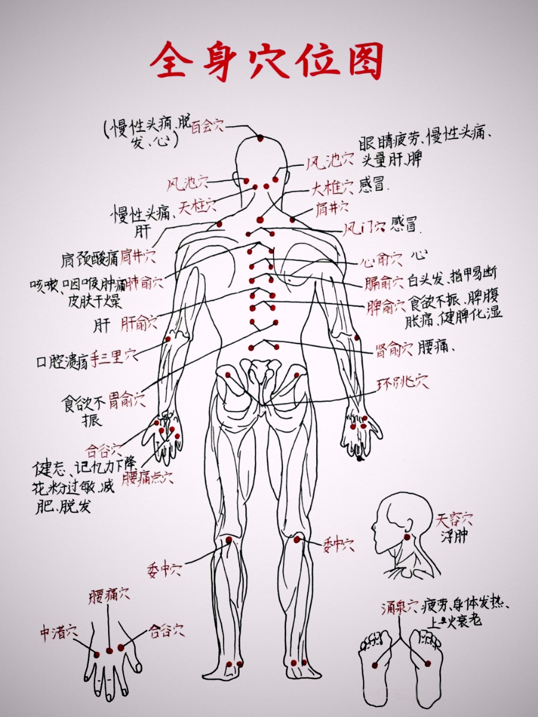 全身穴位图
