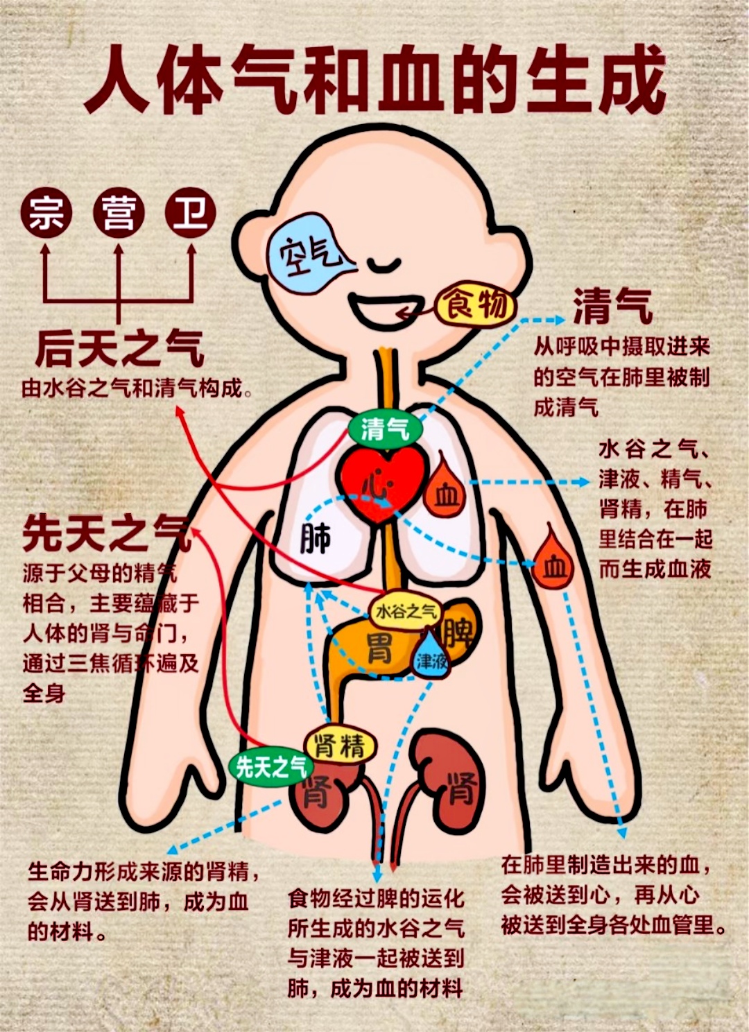 这些伤气血行为你占了几条?