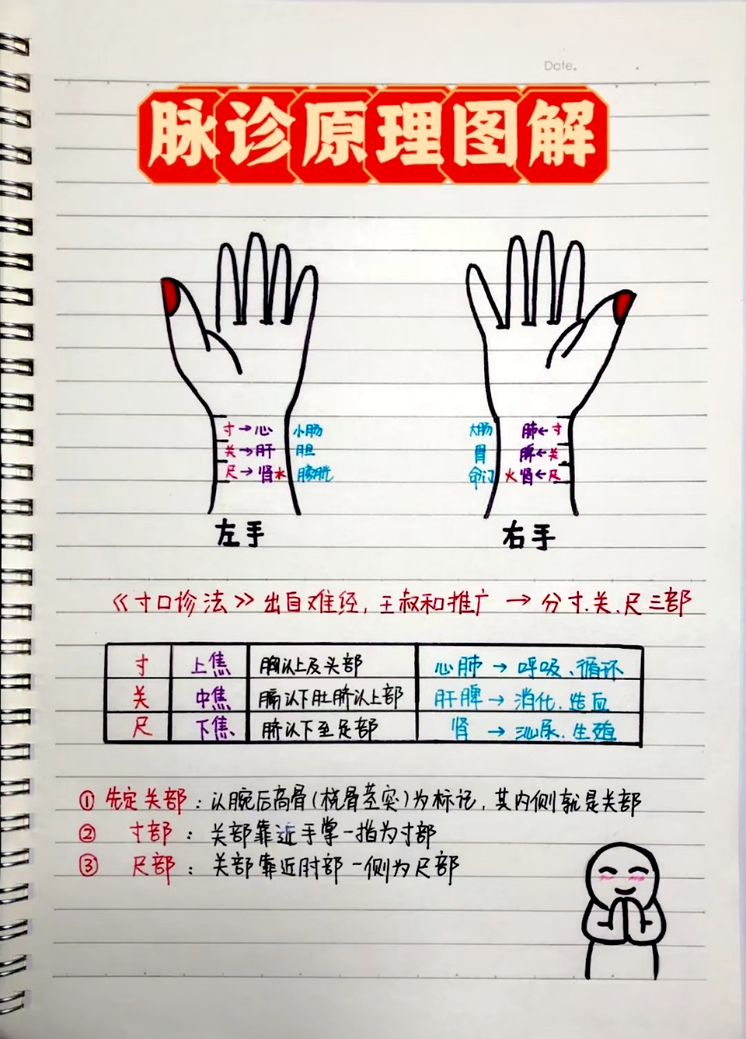 很多人记不住左右手对应的五脏六腑的脉,分享一个我记忆的方法: ①