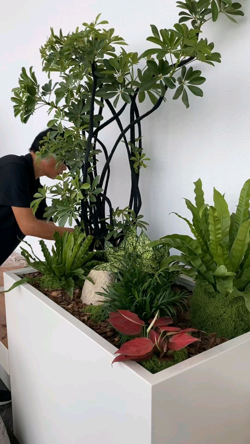 西安租花