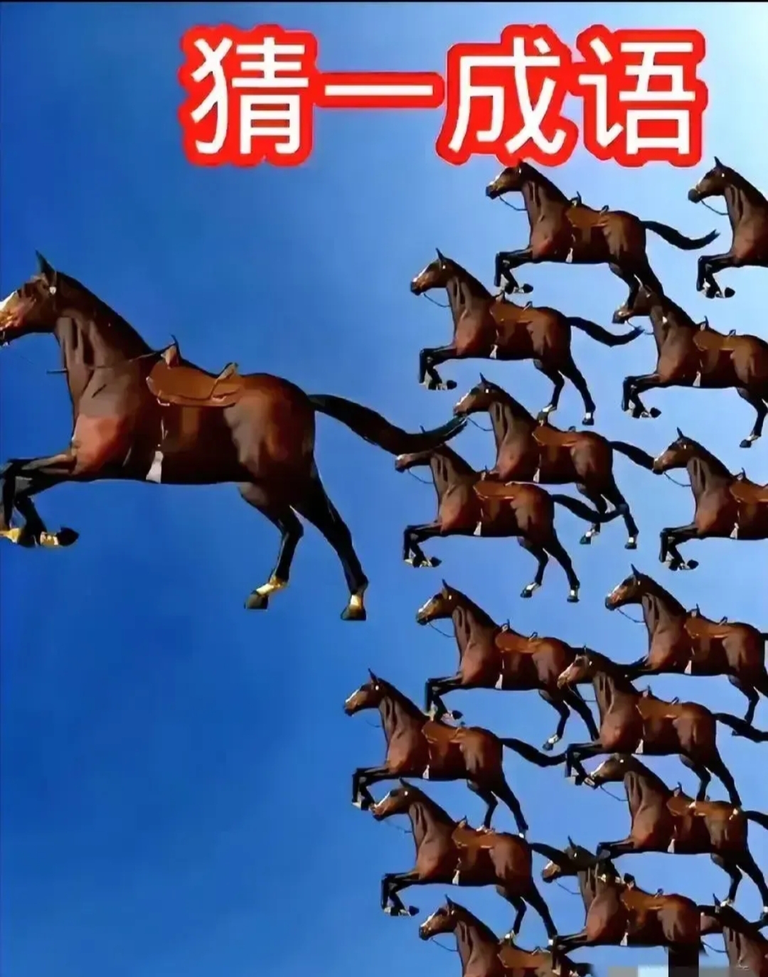 这么多马有一个大的跑在前面这是什么成语?