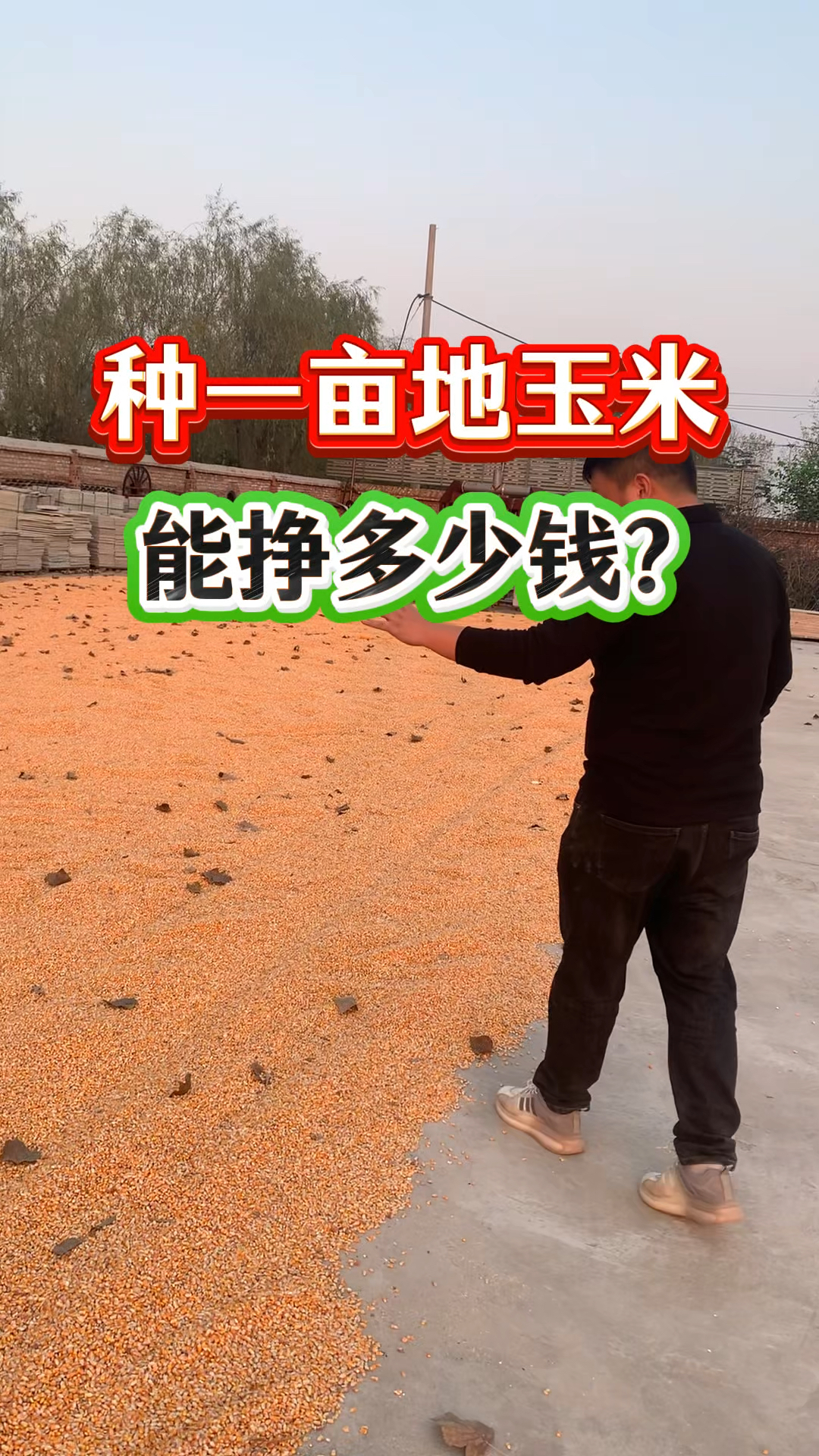 一亩挣20万(一亩地20万贵不贵)