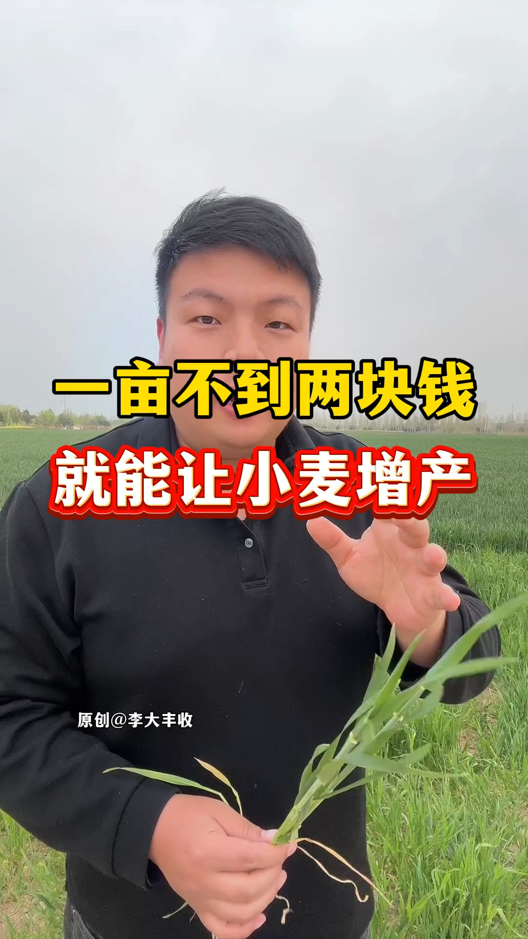 关于菏泽一亩地种庄稼挣多少钱?的信息