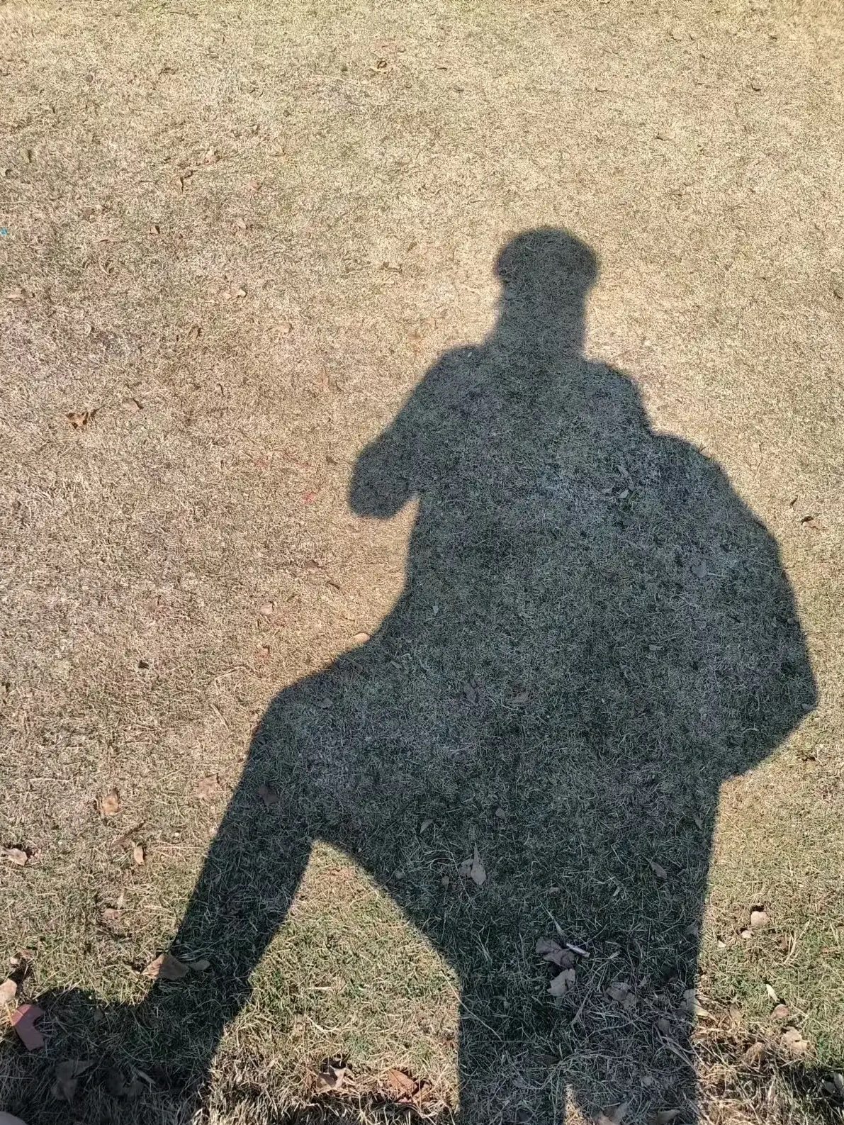 雪糕胖子背影图片男胖男人晚上的背影照片真实胖子的背影图片走路图片