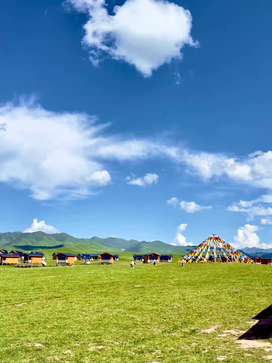 绿野寻梦(甘南州夏河县桑科草原)