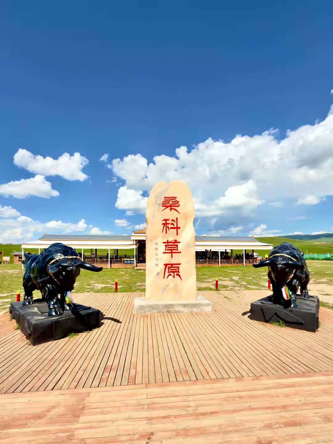 绿野寻梦(甘南州夏河县桑科草原)