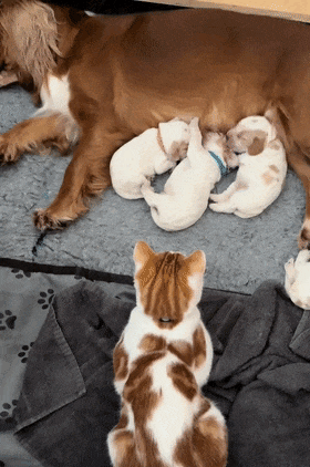 280_422竖版 竖屏gif 动态图 动图