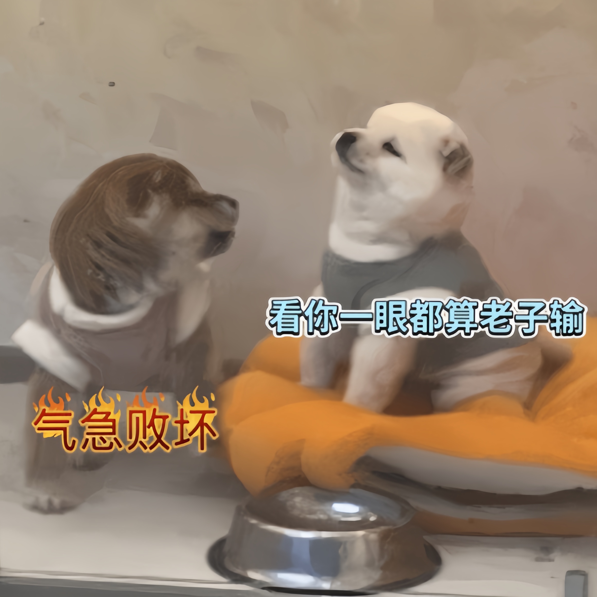 两只小狗吵架,完美诠释了吵架的最高境界,也演绎了