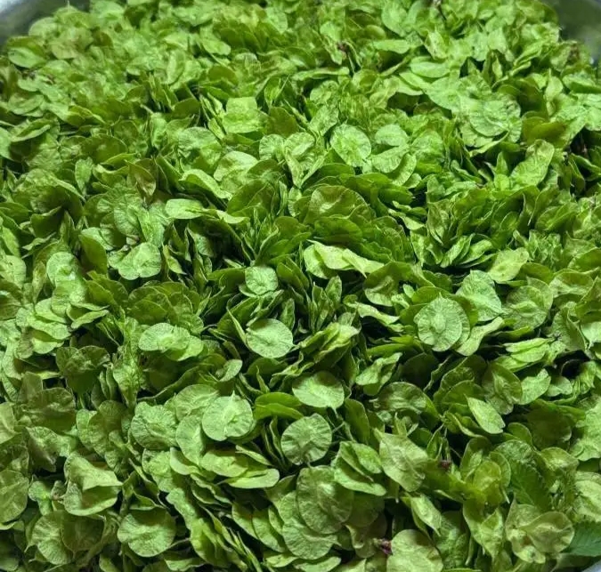 有没有人知道这是啥?吃过的人肯定没多少,我也只吃过一次