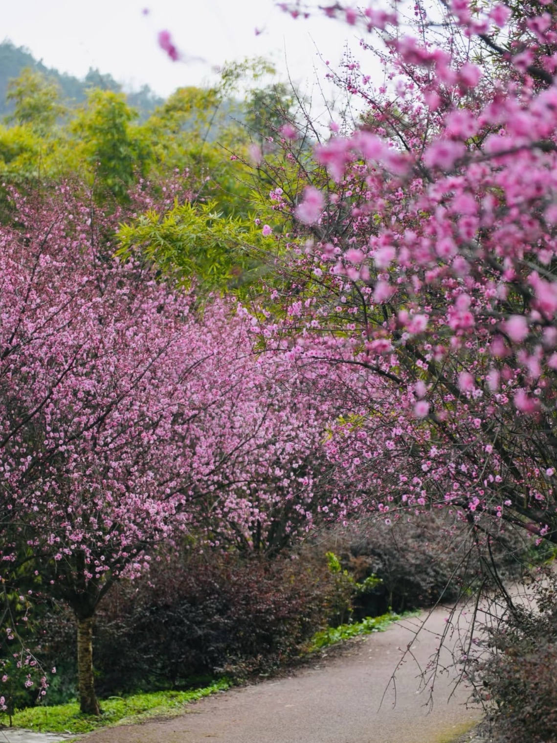 春天不出去走走,永远都不知道春暖花开是什么样子