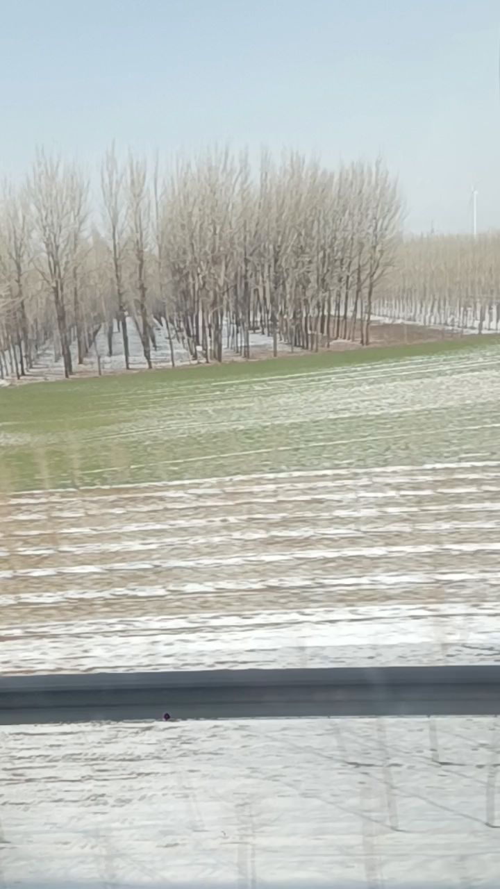 美丽的豫东农村大平原,返乡过年赏瑞雪,快乐时光回家过大年