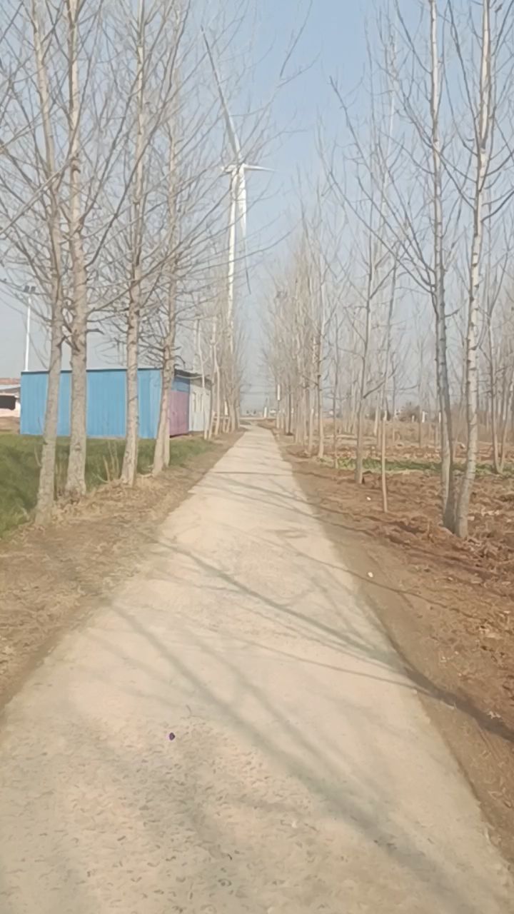 过大年家乡虞城美,新年走亲戚赏豫东平原农村风光美丽的年味景