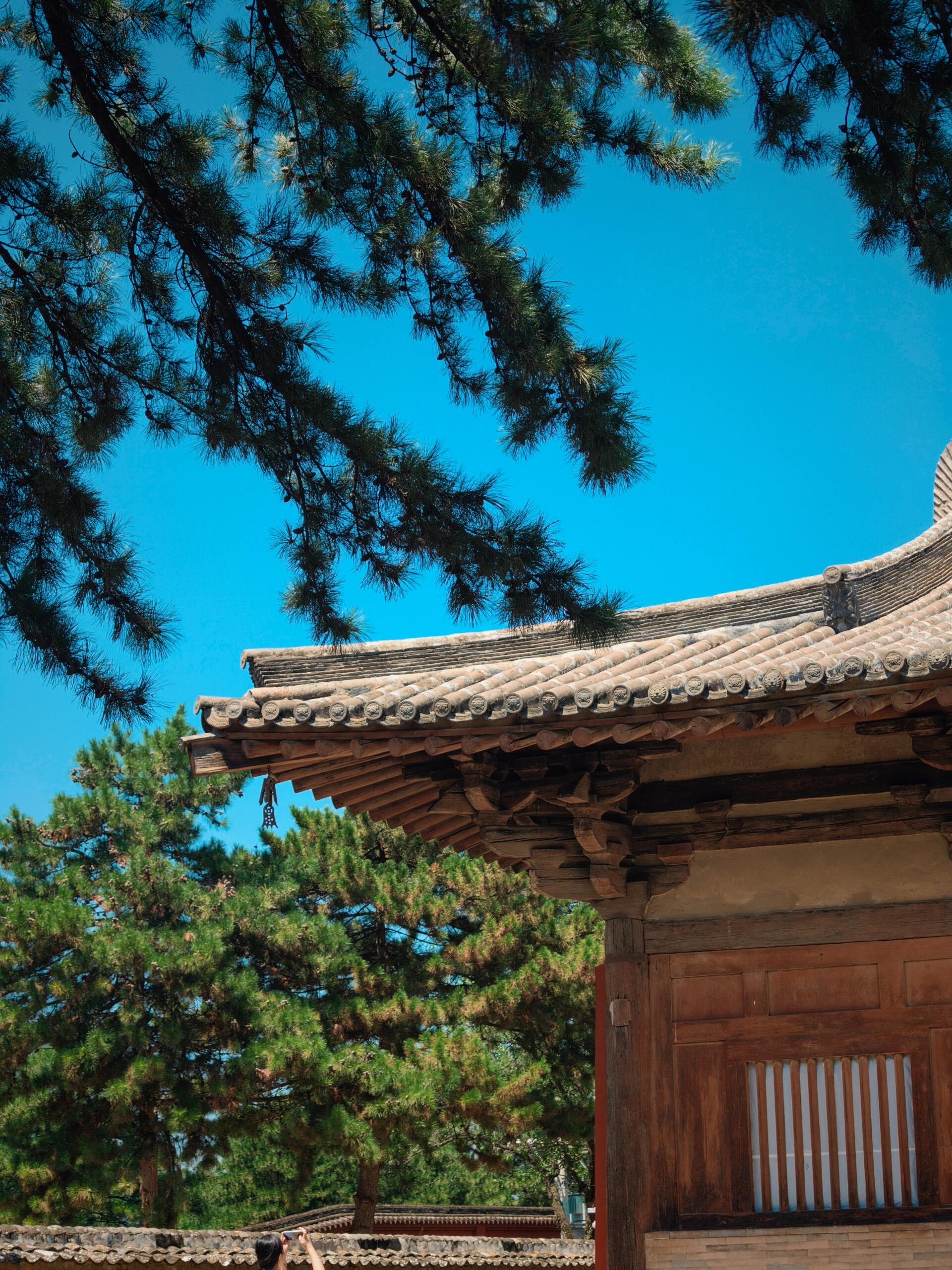 我有幸探寻国内为数不多的唐代木构建筑,佛光寺与南禅寺便是其中瑰宝