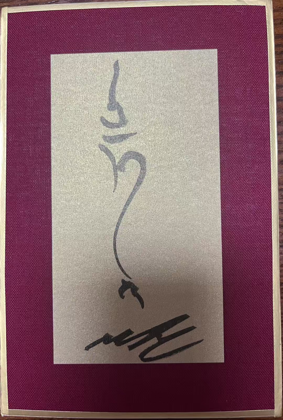 很多人总在纠结死后的光景,临终时会看到什么光,会