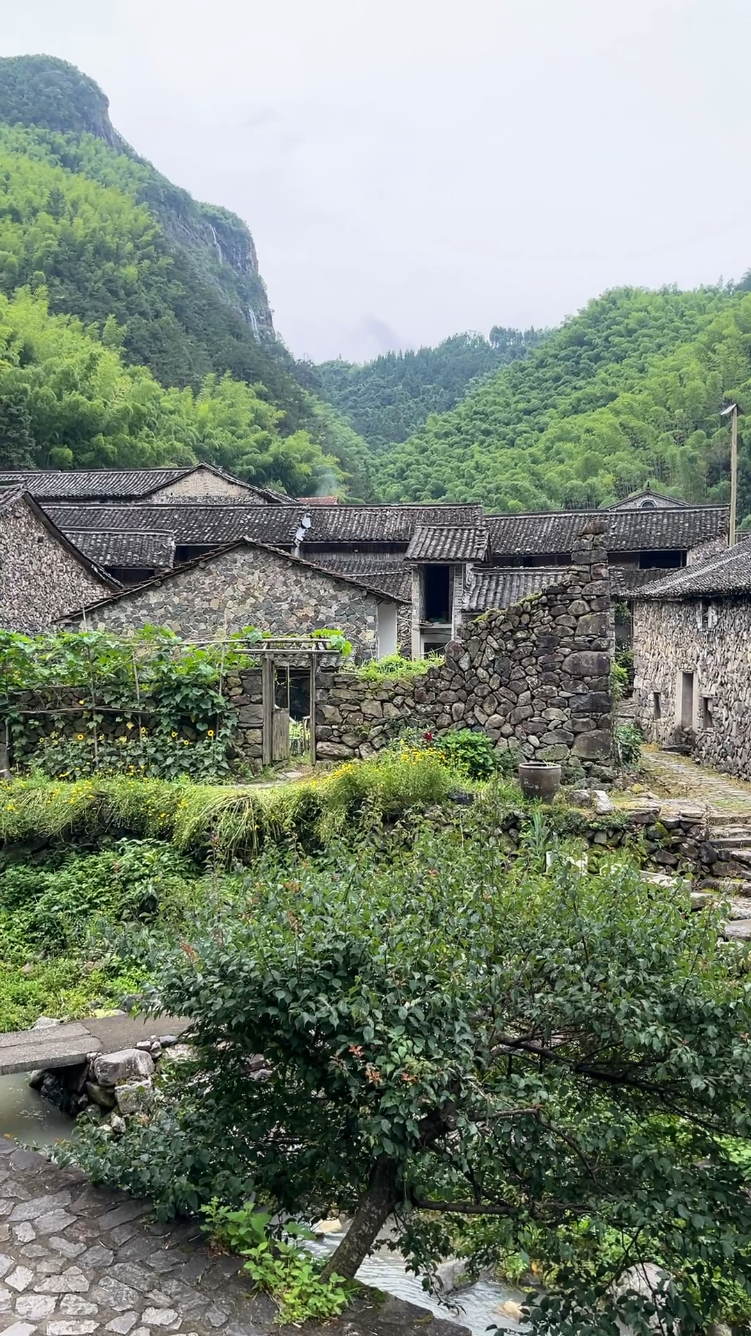 视频拍摄地,浙江丽水岩下村