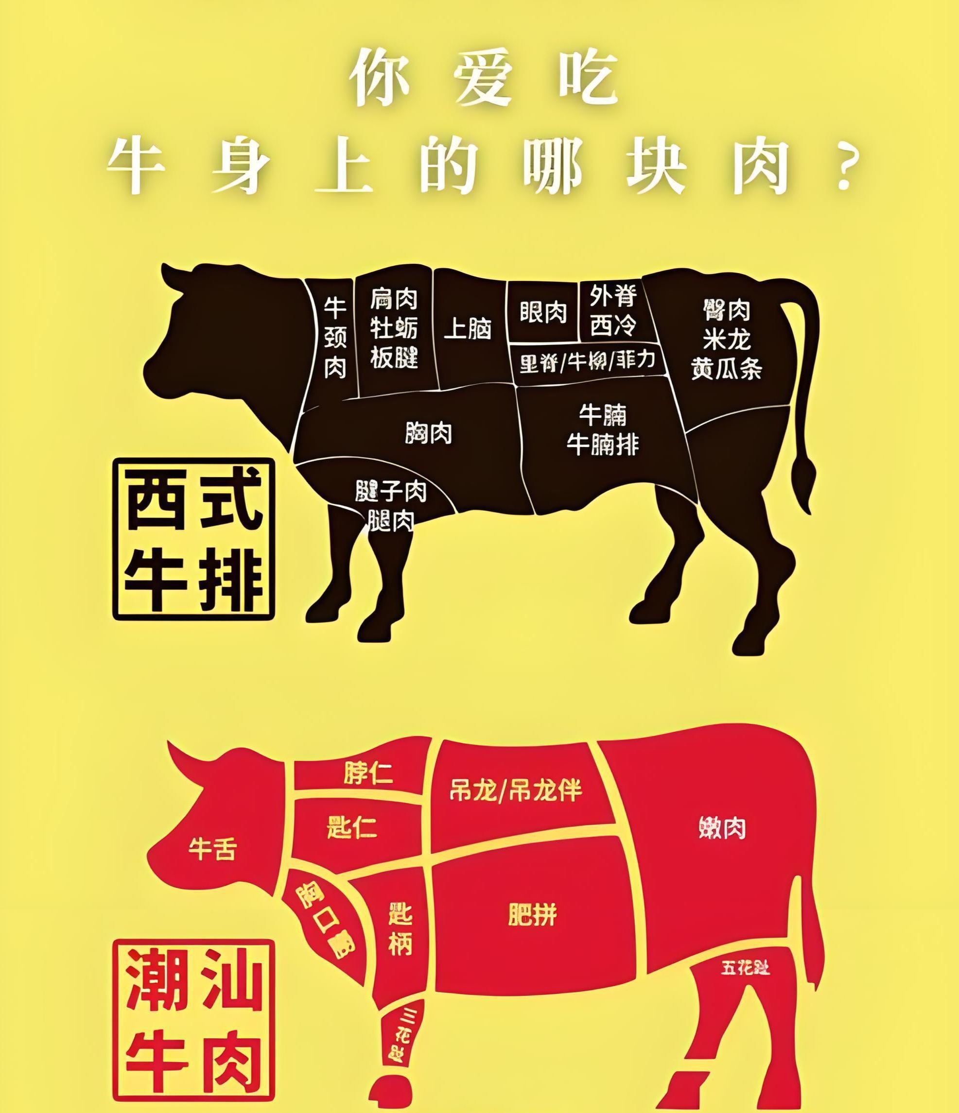 庖丁解牛你爱吃牛肉身上的哪块肉