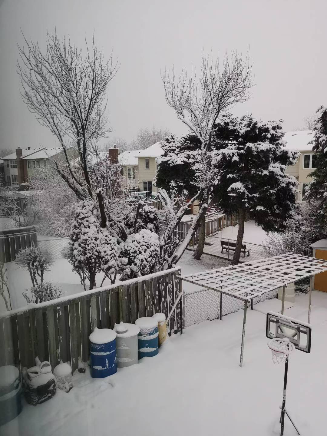 出发去远方 加拿大多伦多的雪景白雪皑皑银装素裹别有一番美景