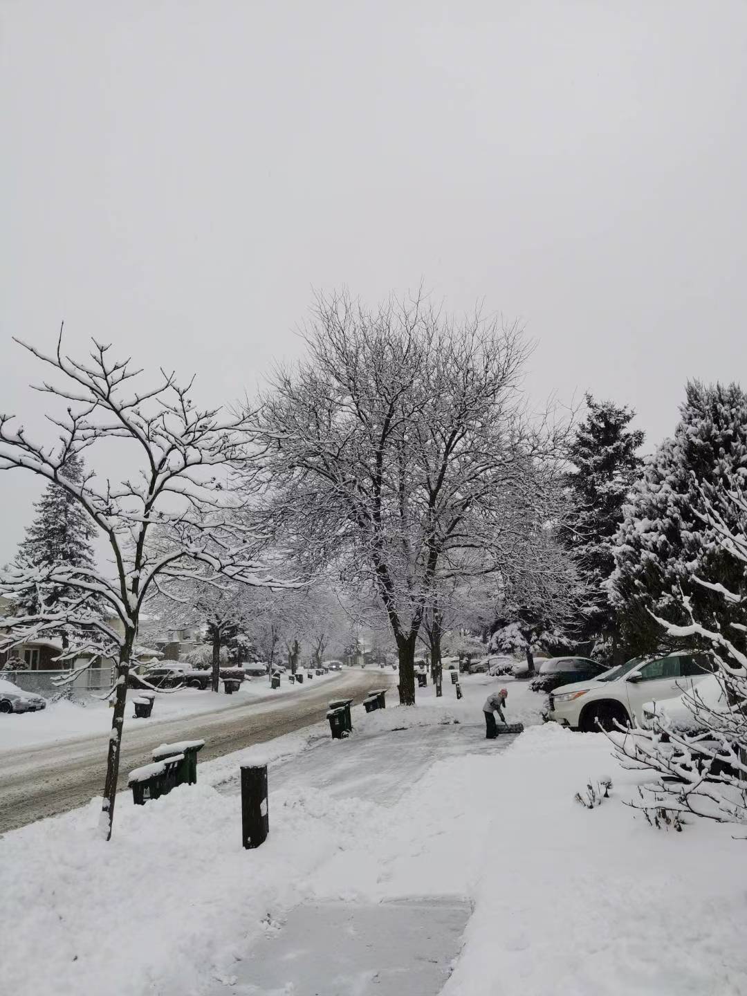 出发去远方 加拿大多伦多的雪景白雪皑皑银装素裹别有一番美景