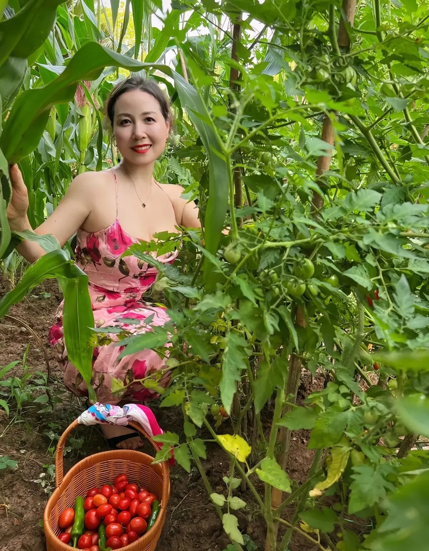 人到中年,最惬意的莫过于在自家的一亩三分地上踱步