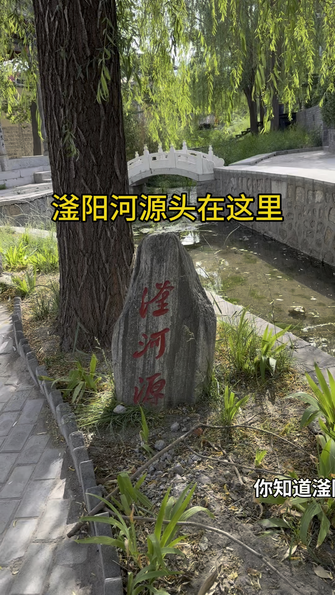 你知道滏阳河源头在哪吗?峰峰金村古戏台不远处,有众多泉眼