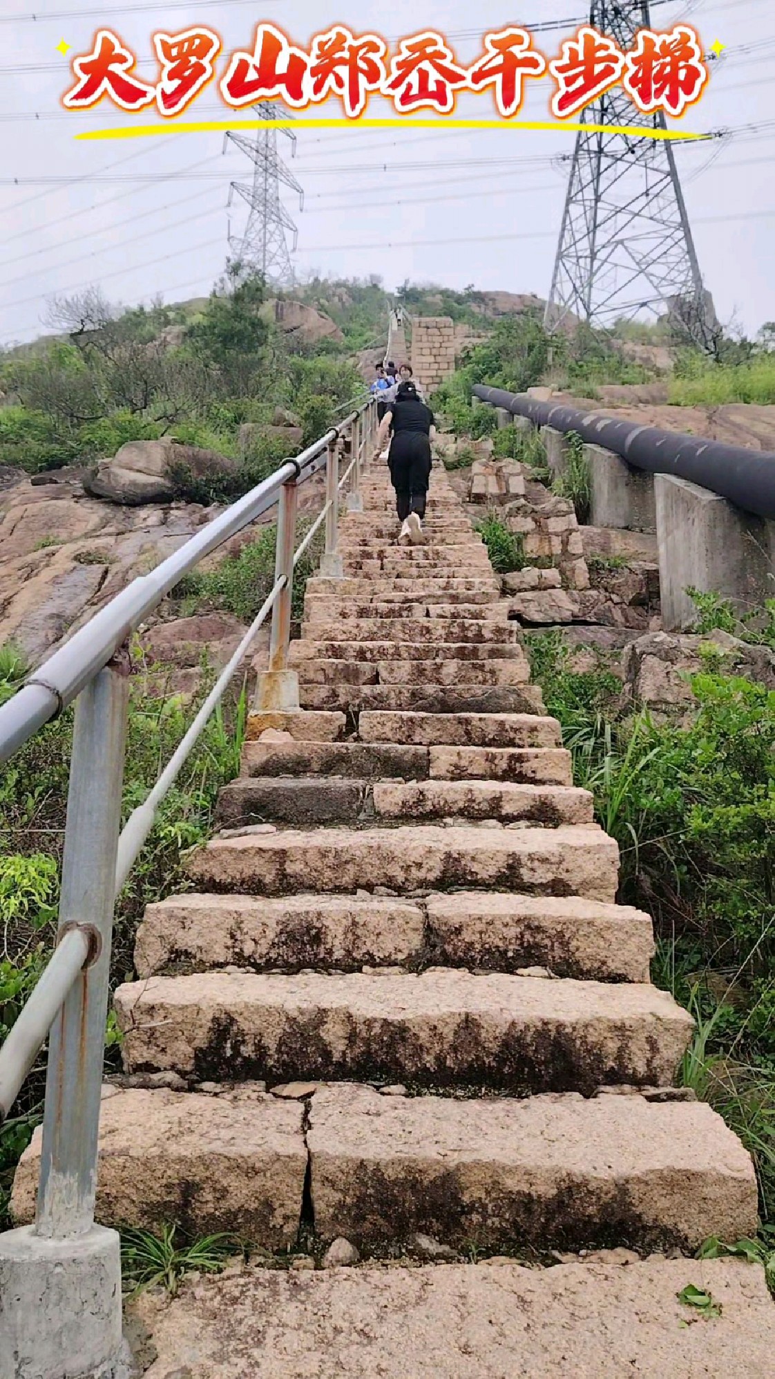 大罗山郑岙千步梯,全程1764个台阶,是户外登山必爬的经典步道