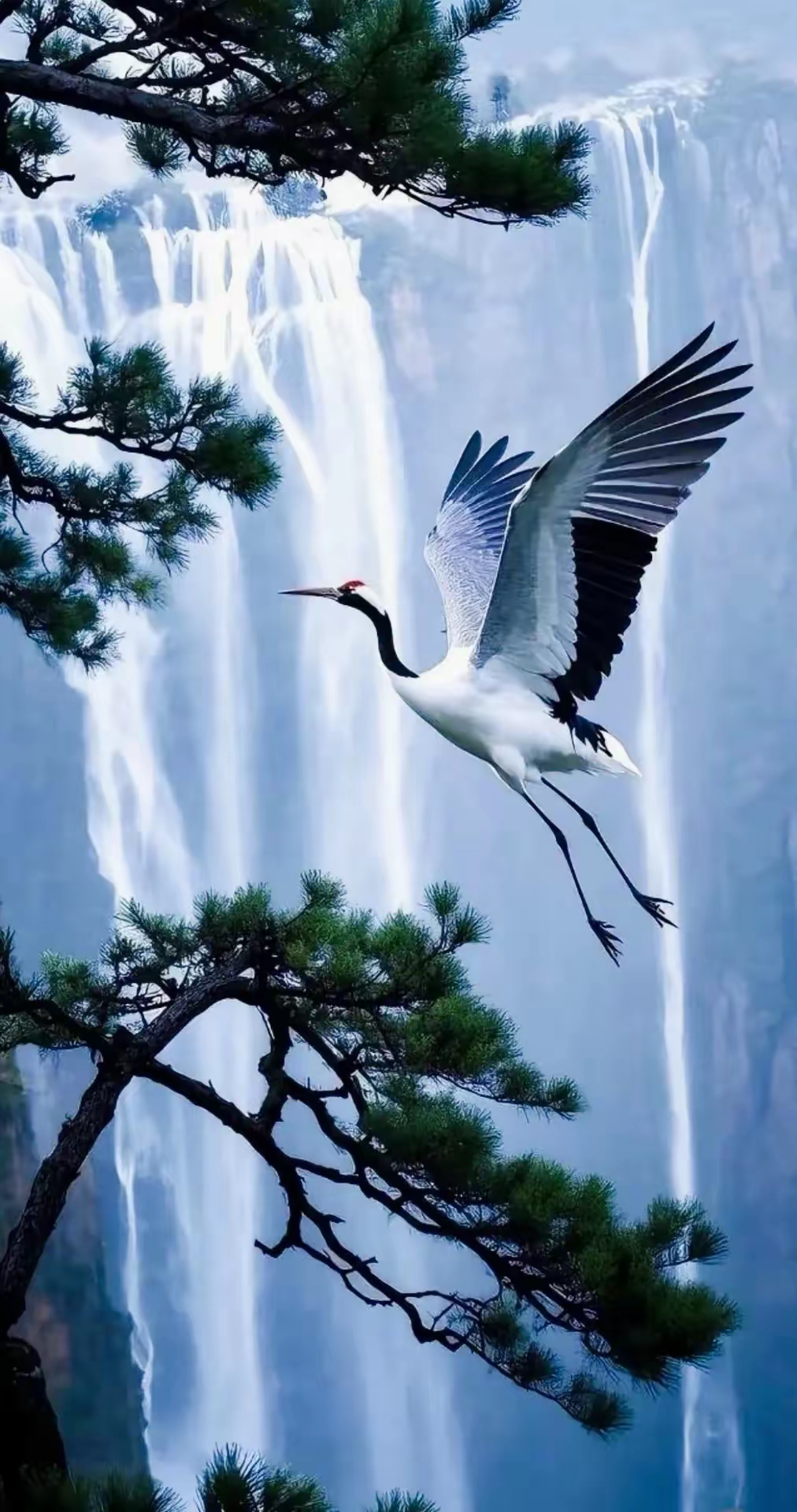 仙鹤在云雾缭绕山间飞翔着,组成了一组组绝美的松鹤图