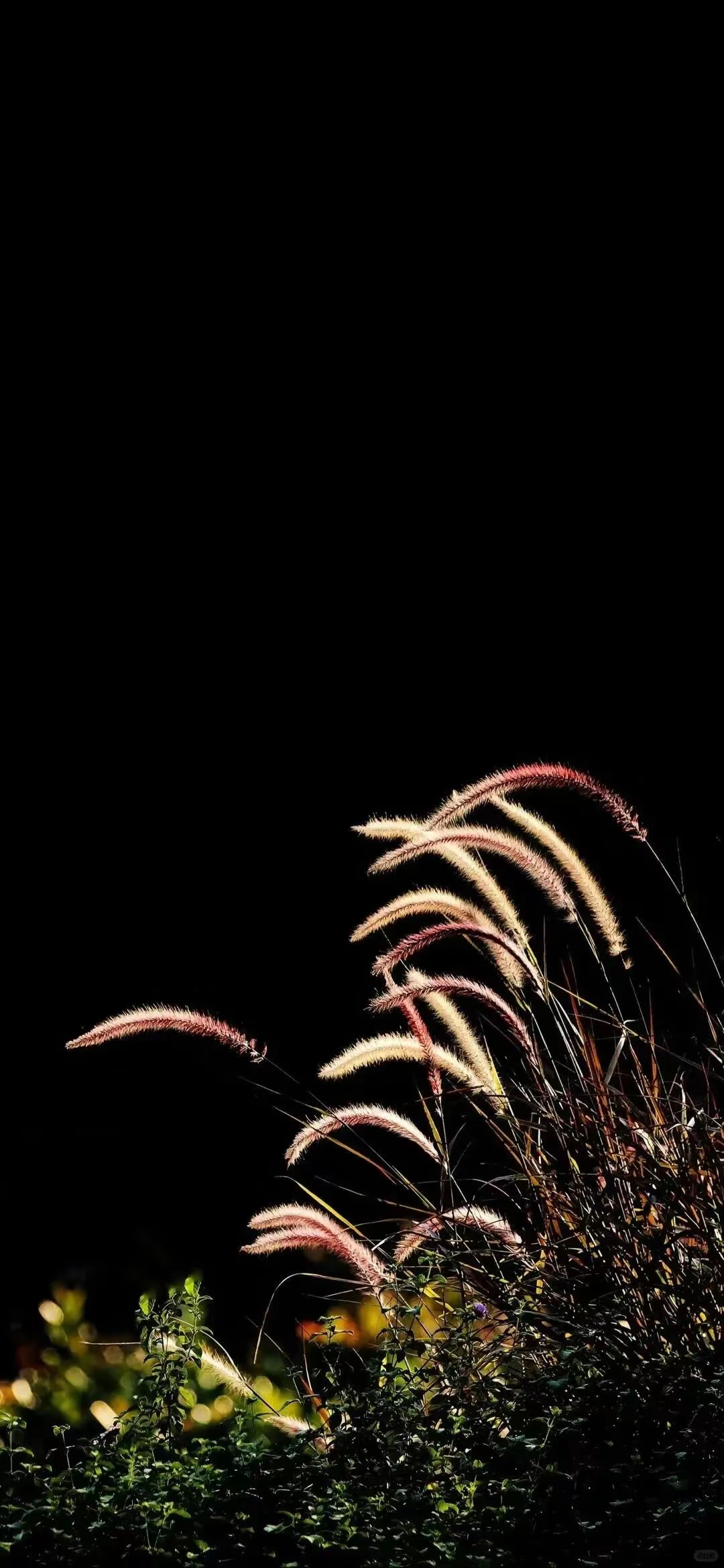 壁纸|高级感黑色系锁屏壁纸