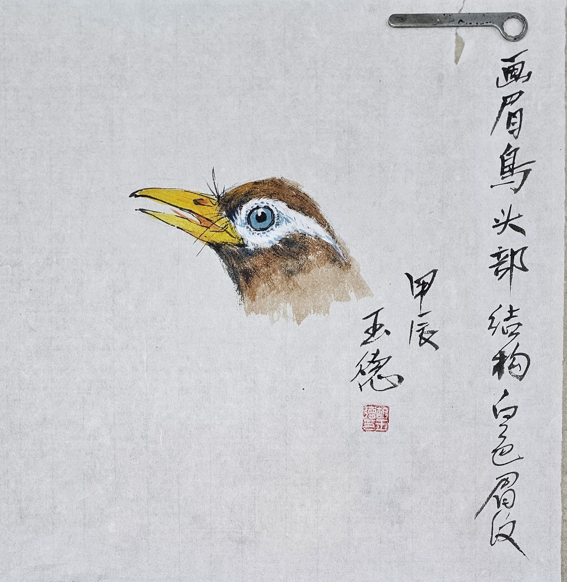 画眉鸟国画基础知识讲解简单易学