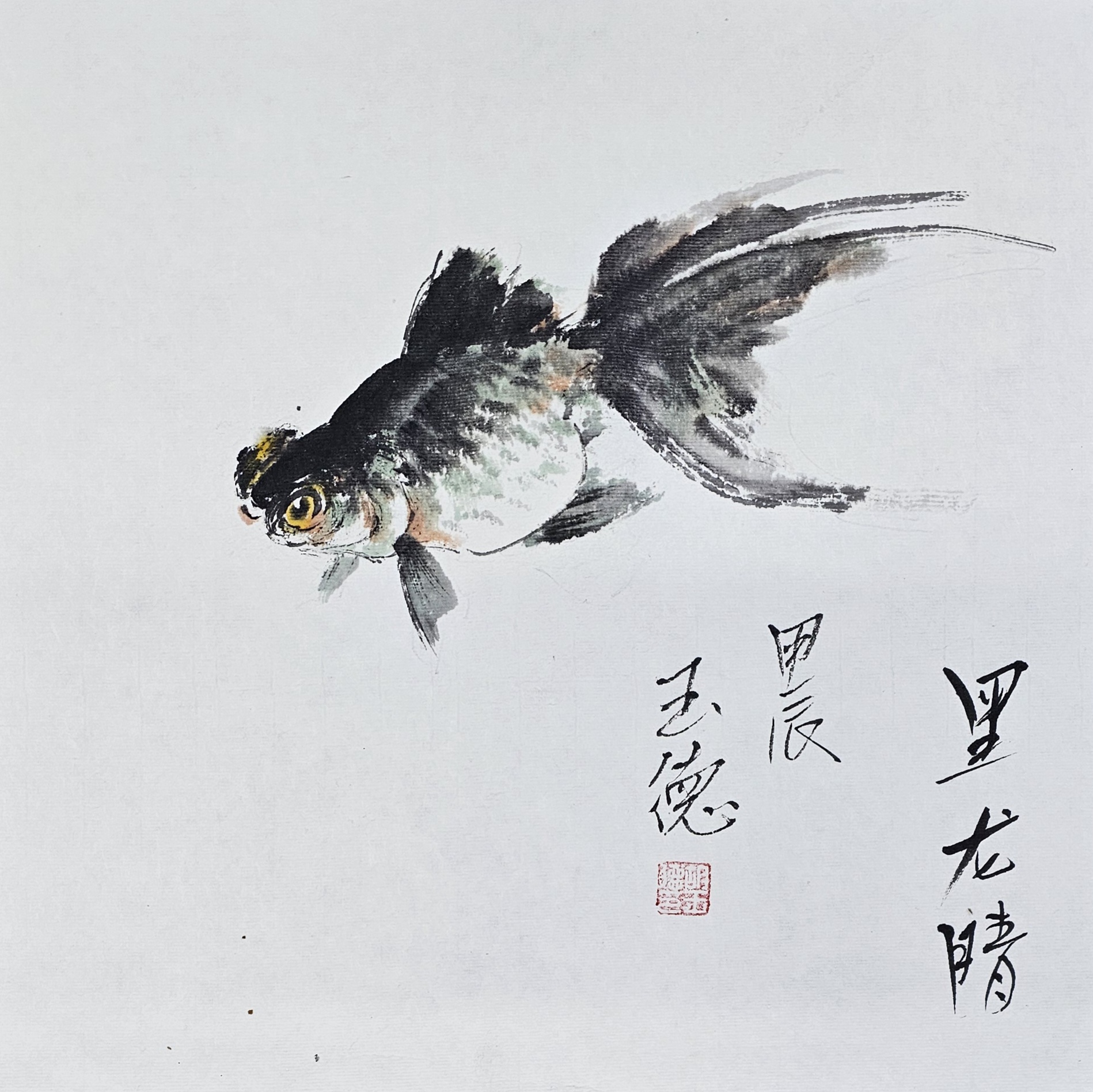 胡玉德老师创作金鱼国画小写意作品集