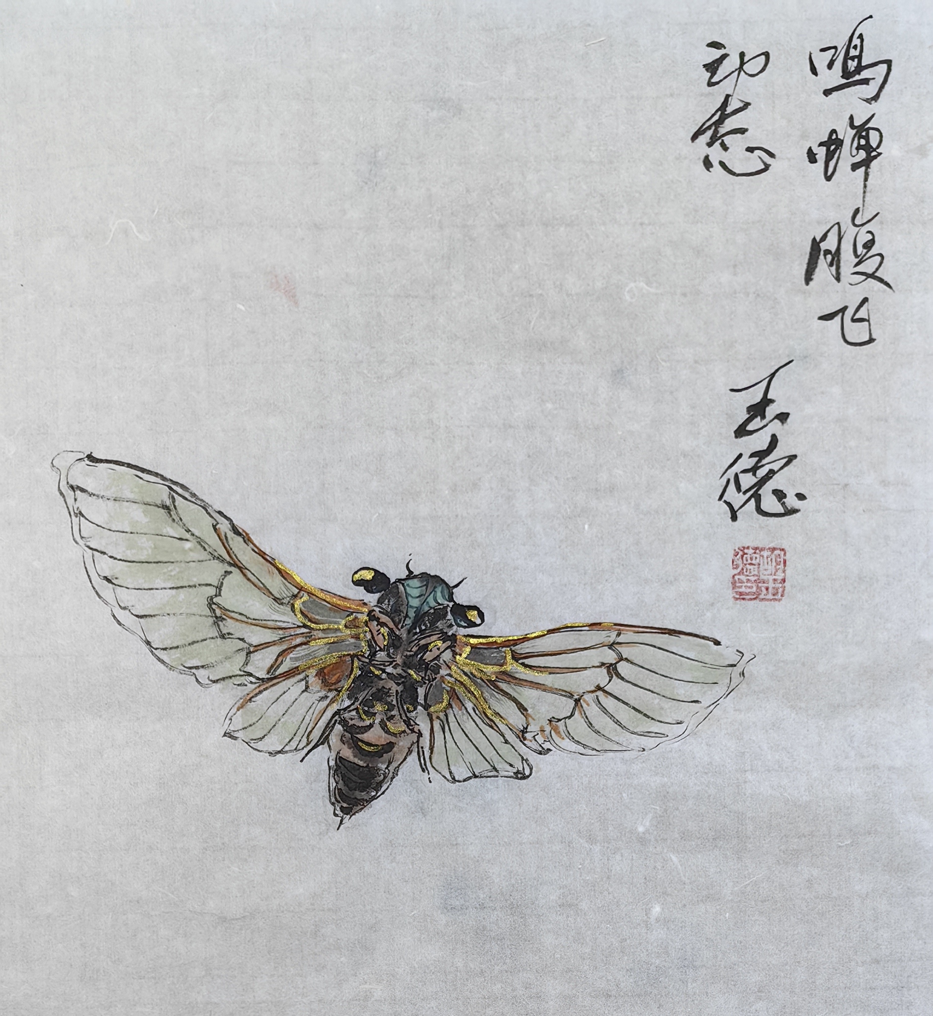 《今朝蝉忽鸣,迁客若为情》金蝉国画结构图掌握背飞及腹飞变化