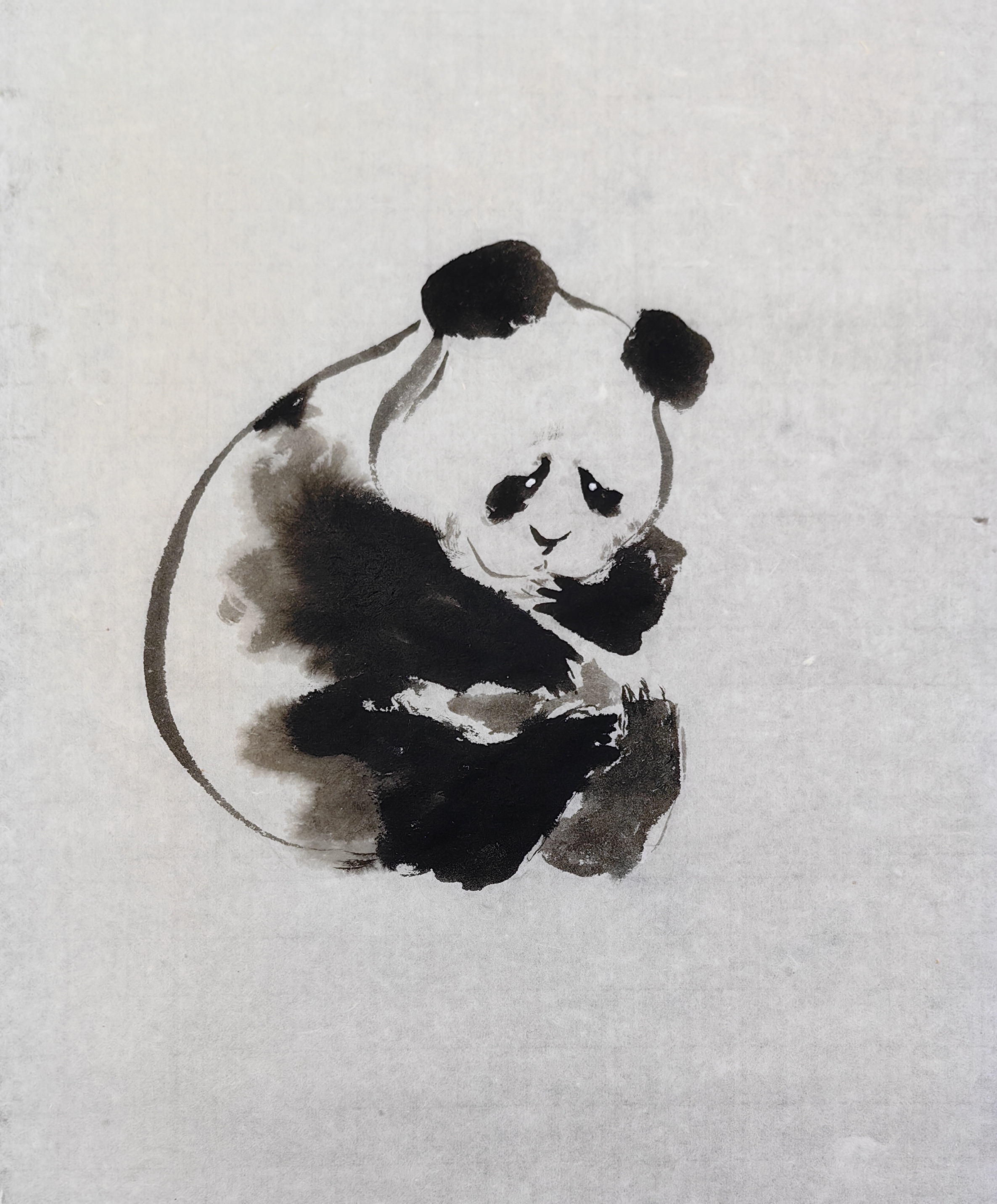 胡玉德老师创作《憨态可掬大熊猫》国画小写意掌握黑白灰对比