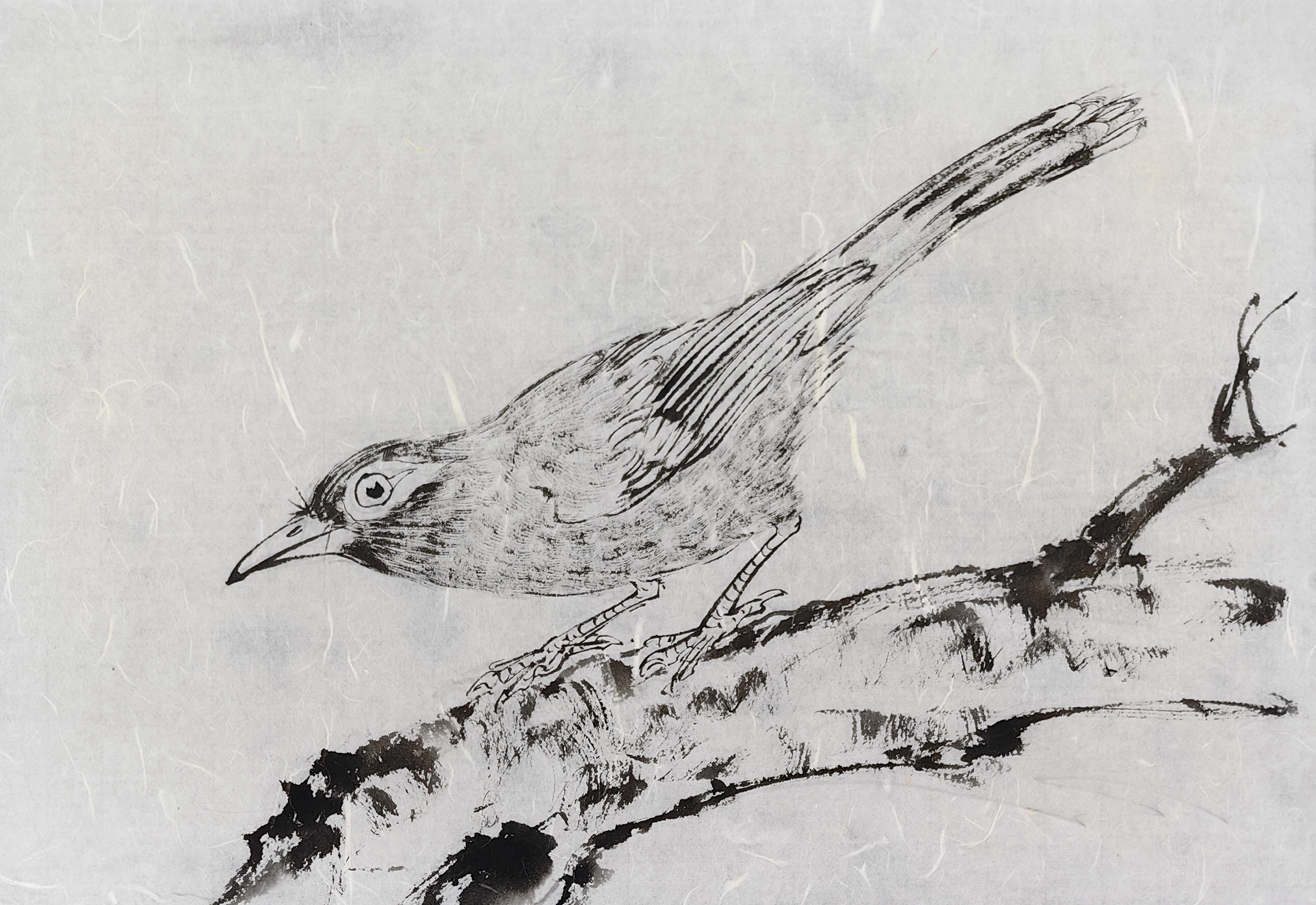 胡玉德老师创作画眉鸟国画小写意作品