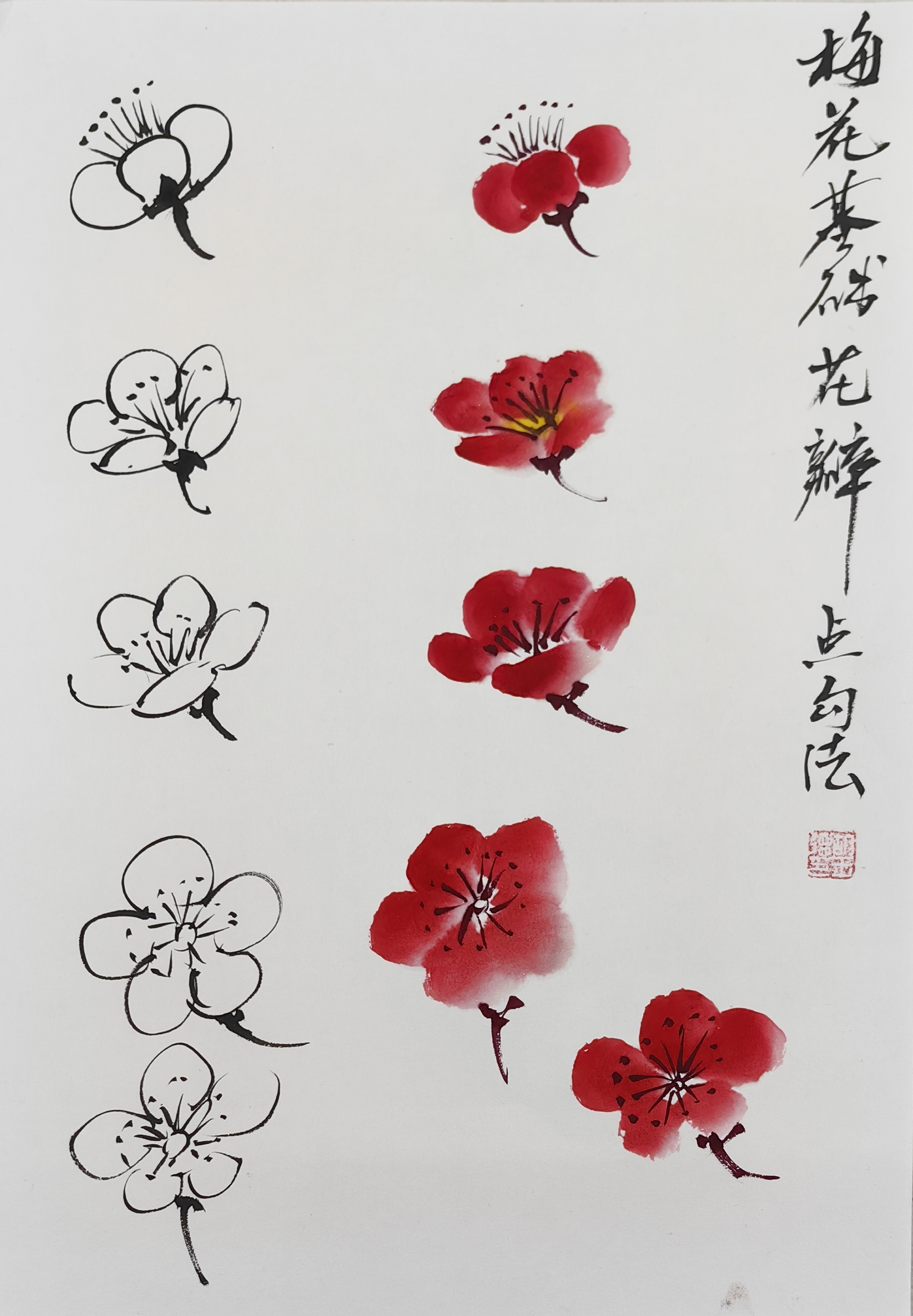 胡玉德老师讲解梅花花瓣及枝干穿插技法