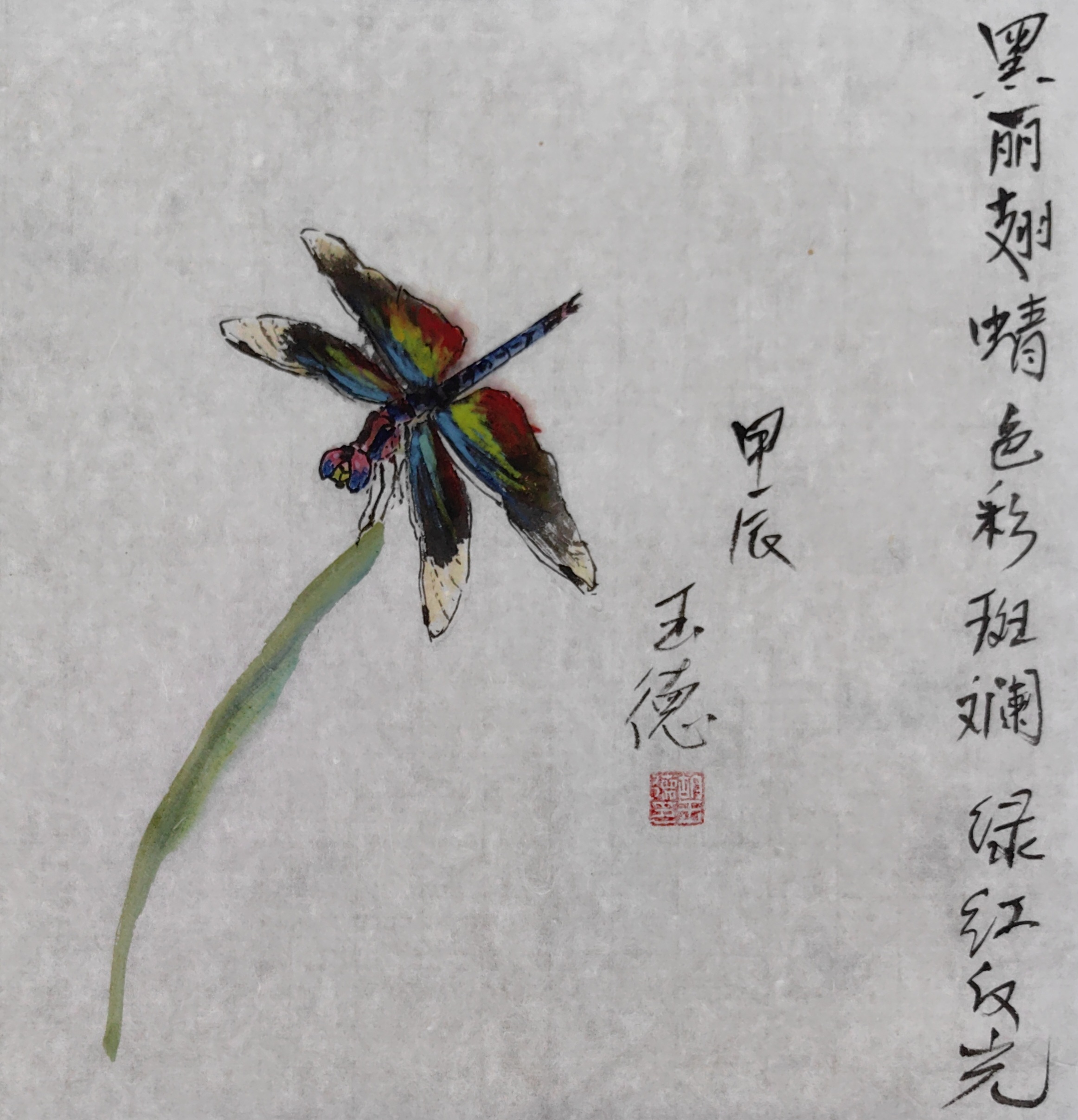 胡玉德老师创作黑丽翅蜻国画小写意翅膀色彩斑斓红色反光