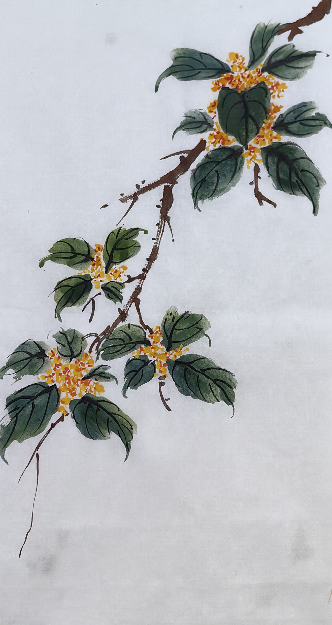 胡玉德老师创作《人闲桂花落》桂花国画小写意作品集