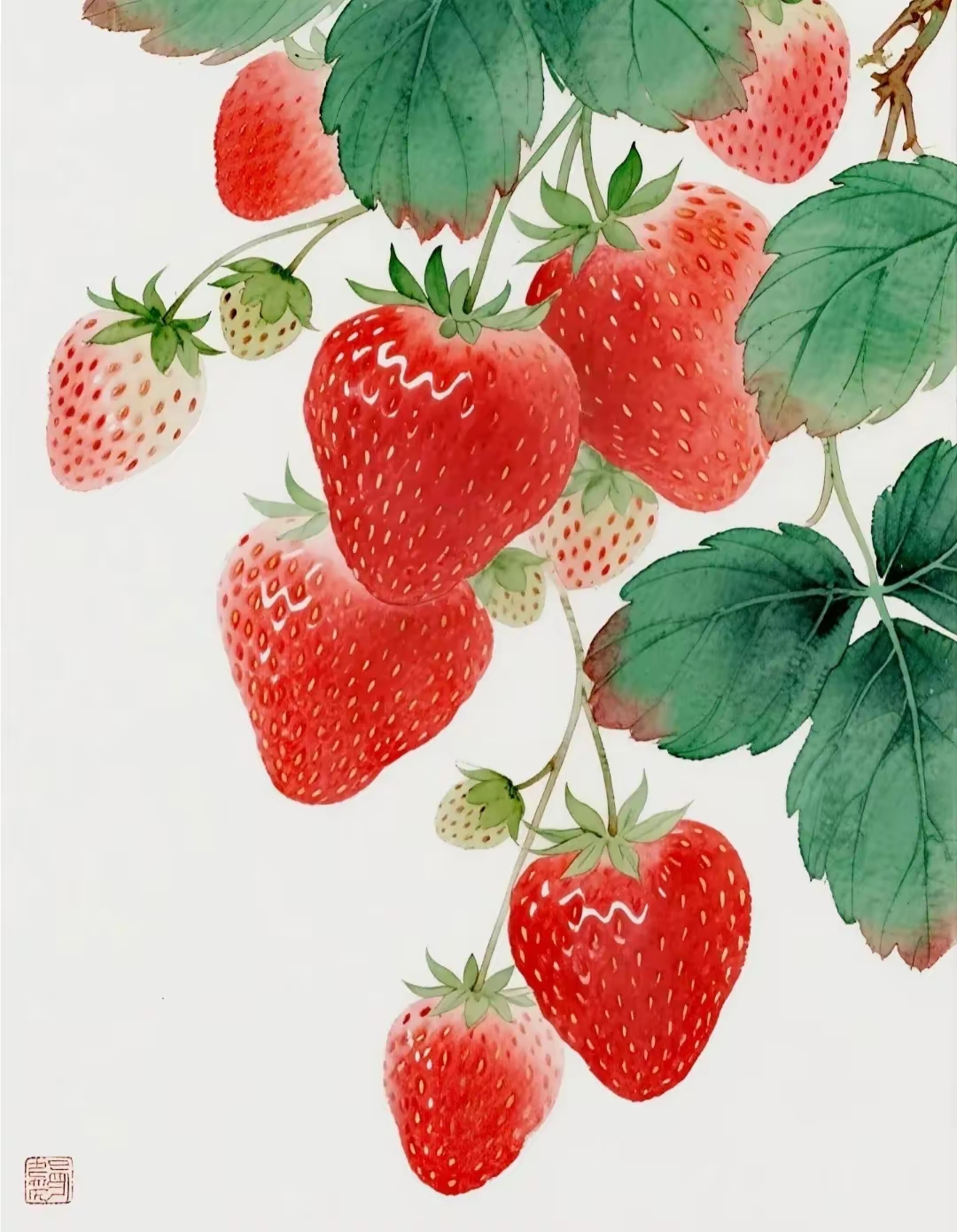 清新水彩草莓红似火 甜美多汁 红艳欲滴 草莓国画的意境之美
