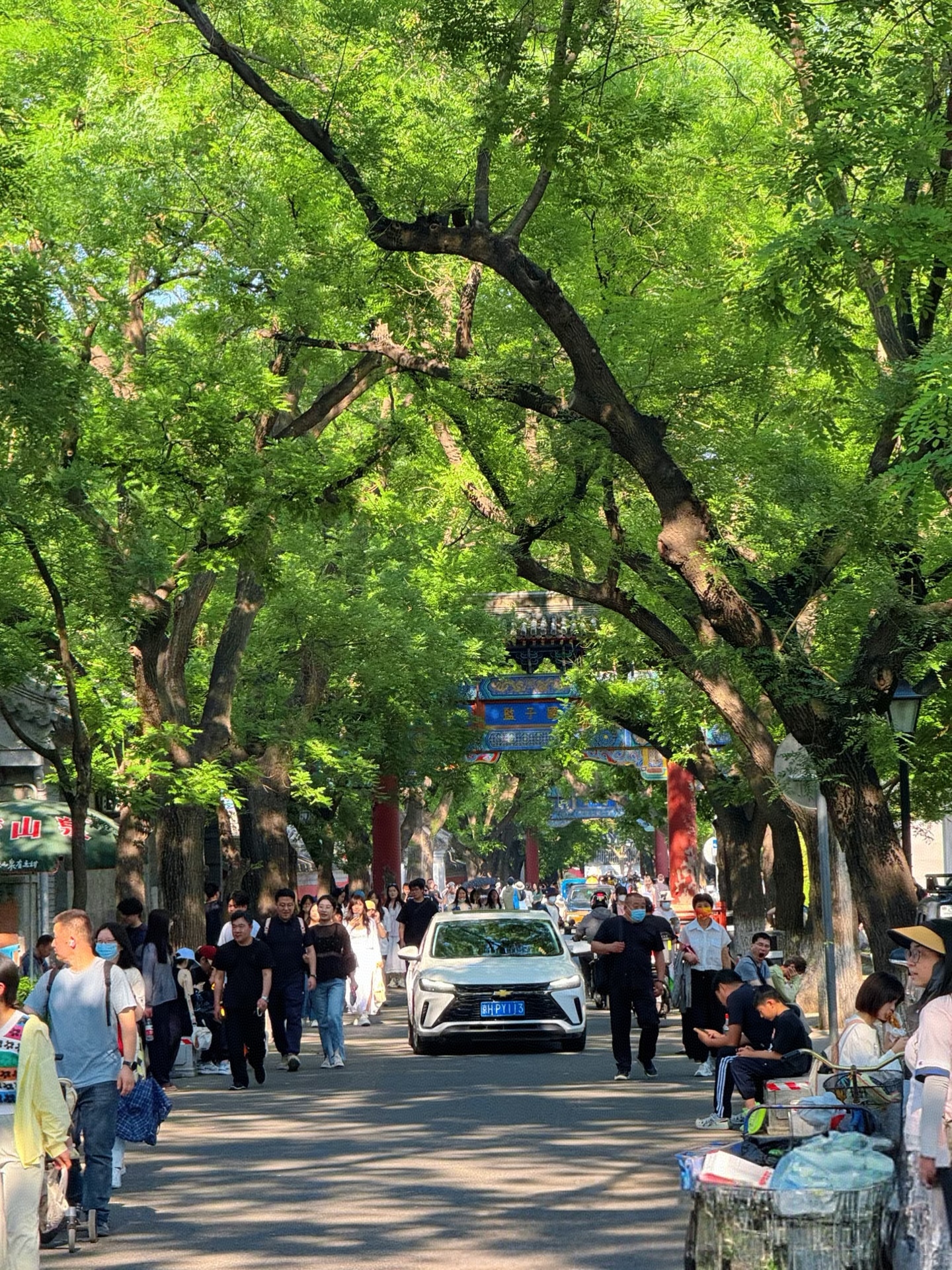 北京的初夏,像一幅徐徐展开的水墨丹青,在蜿蜒曲折的胡同里晕染出独特