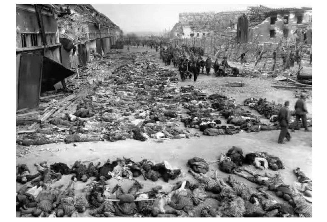 二战期间,日本军国主义入侵菲律宾,犯下奸淫,抢劫,屠杀等暴力罪行