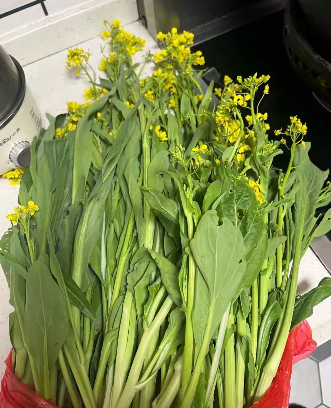 妈妈是湖南人,吃菜心要把尾部的花去掉,婆婆是广西人非得把花留着一起