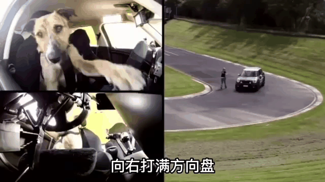 赛道驾驶的时候，打方向盘推荐用“动态匹配法”-有驾